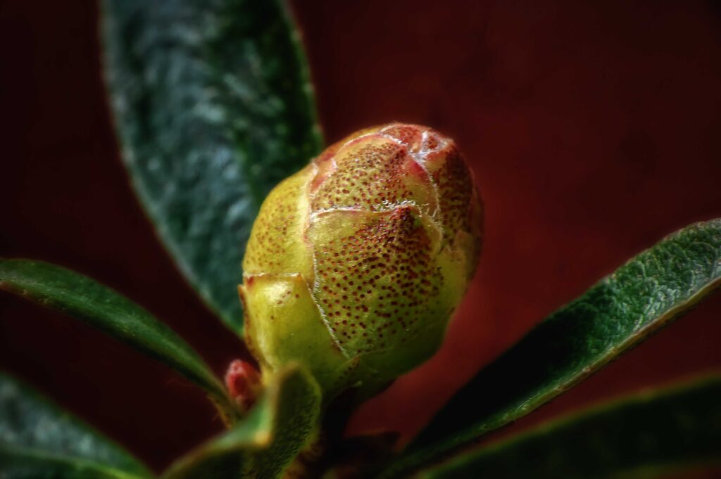 2024-03-25 <br />- Residenzia - Balkon <br />- BloomBux